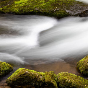 300 CFS. Photo by John Gifford