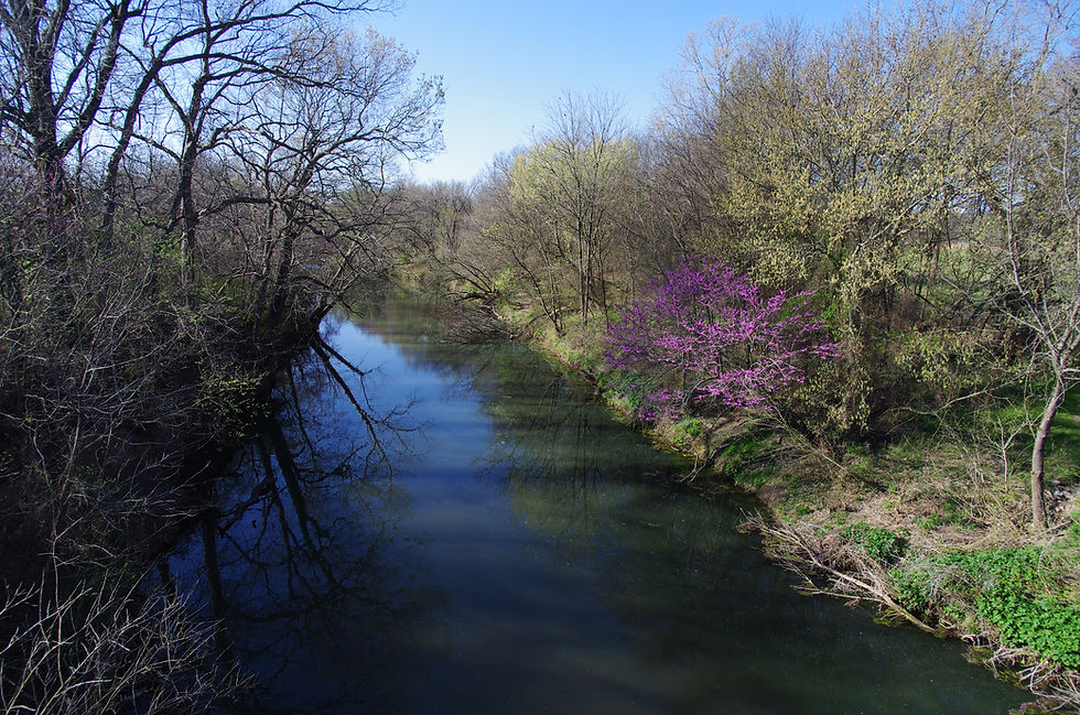 Pennington Creek in Spring.jpg