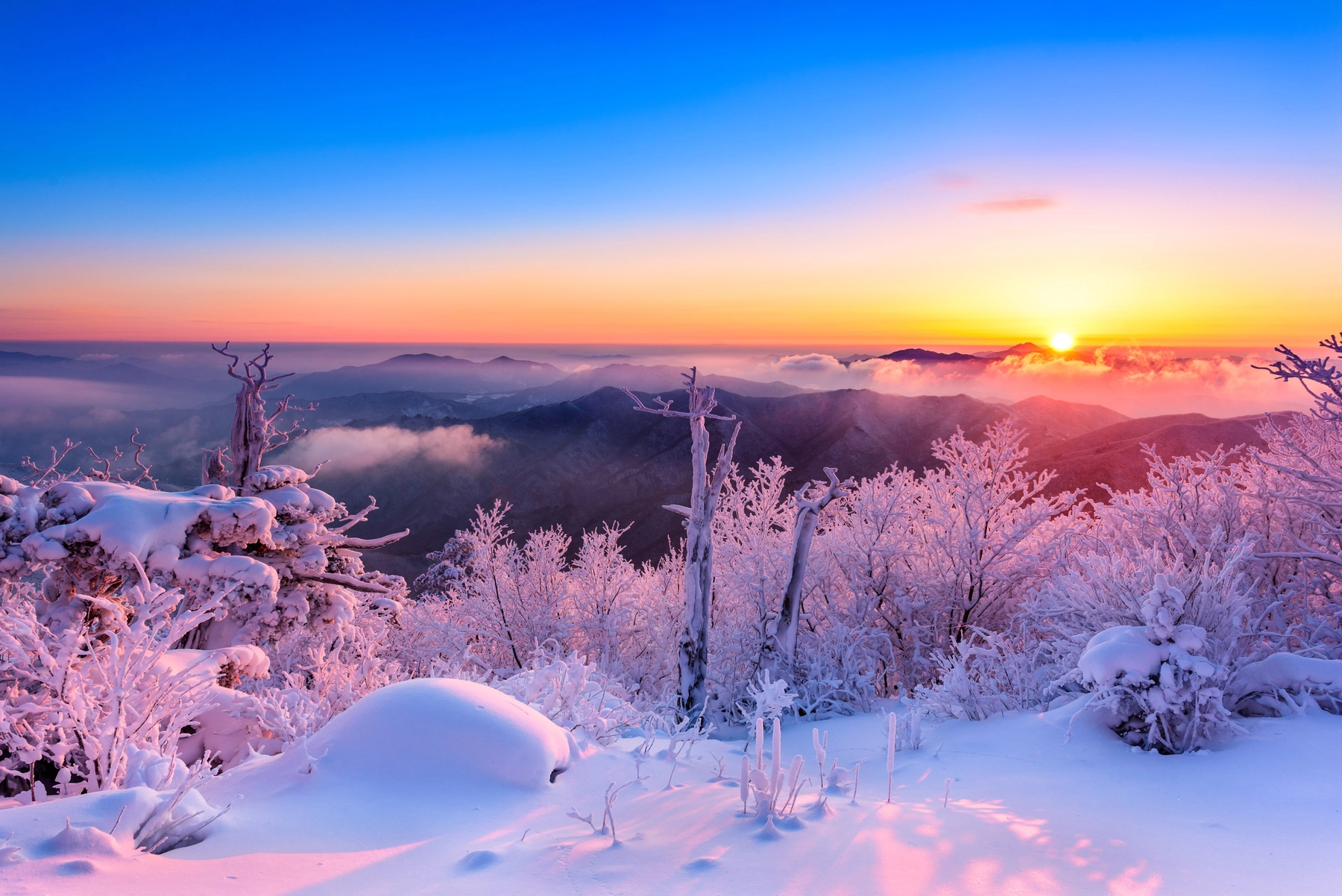3820145201700054k_Beautiful-Snowscape-of-Korea.webp
