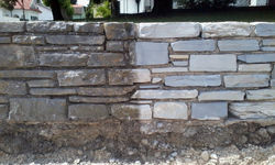 cropped-Foto0171