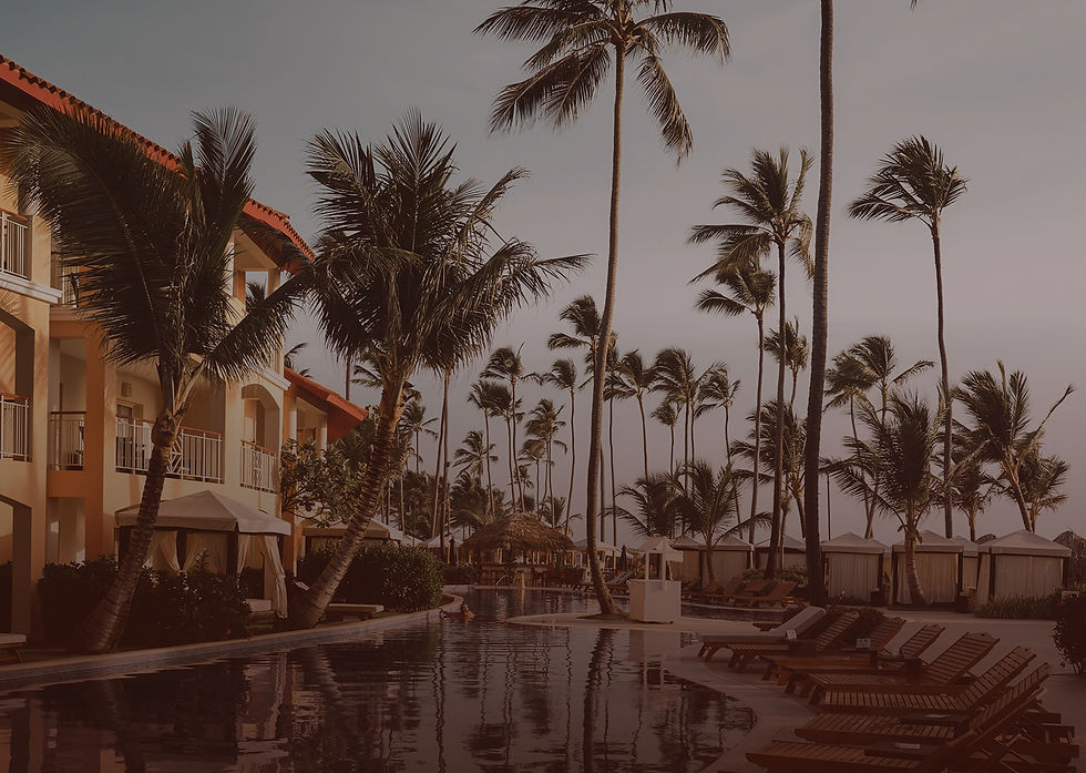 Palm & Clay Haus Hero Image3x.jpg