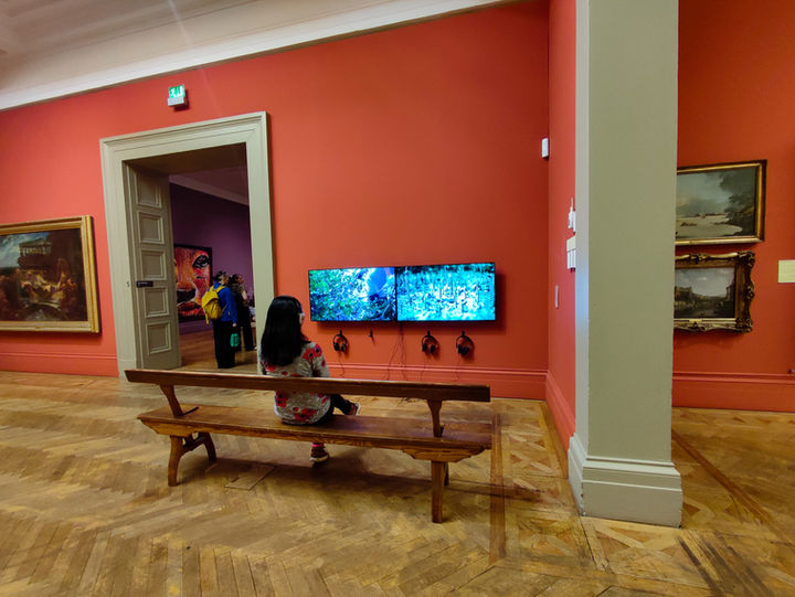 Yu-Chen Wang, Sea Forest, Mangroves of Taiwan, Asia Triennial Manchester, Manchester Art Gallery
