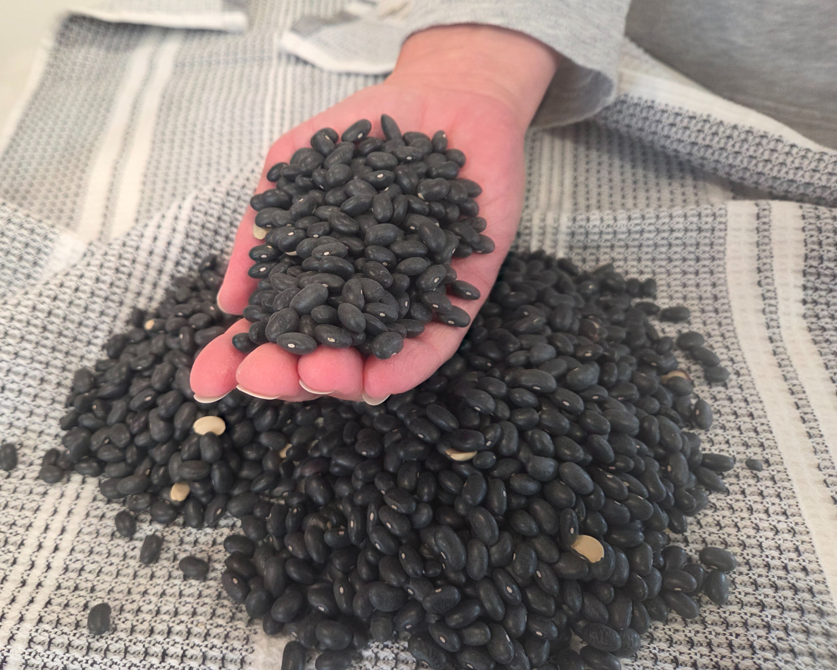 Locally Grown Black Beans