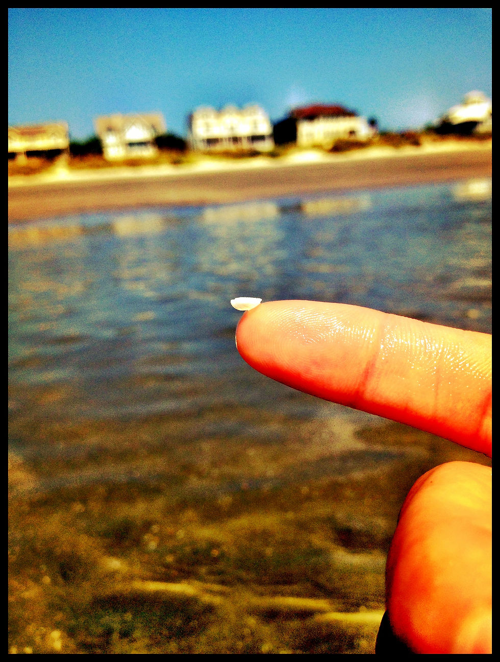 Isle of Palms