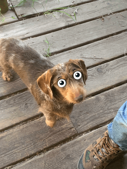 IMG_0032.GIF