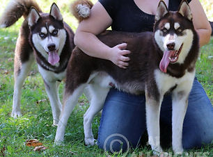 HeartNDarth.jpg