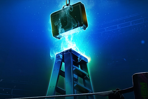 Ladder-and-Lootcases2048x1024.jpg