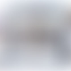 VISITA TÉCNICA DOS ESTUDANTES DE PSICOLOGIA DA UNIFAFIBE AO HOSPITAL MAHATMA GANDHI