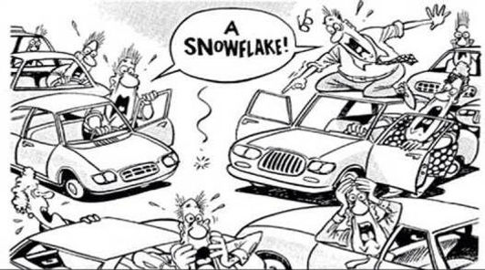 a_snowflake.jpeg