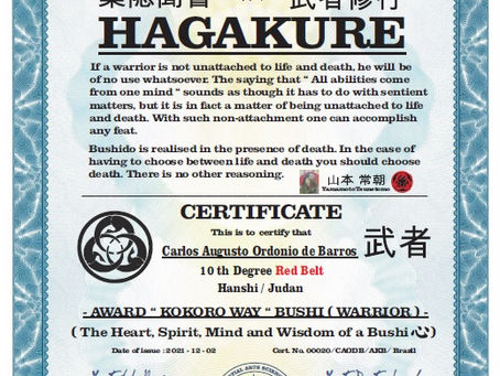 AMASI - AWARD " KOKORO " WAY BUSHI ( WARRIOR )