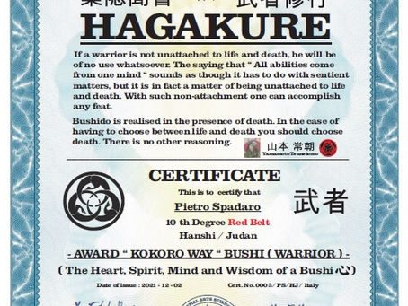 AMASI - AWARD " KOKORO " WAY BUSHI ( WARRIOR )