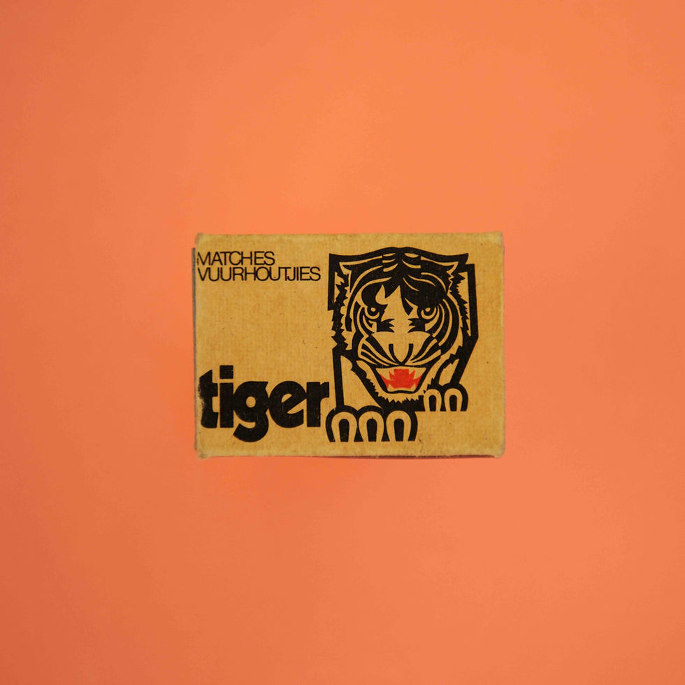 Hey There Tiger
