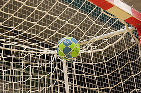 Ball in Net