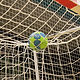 Ball in Net