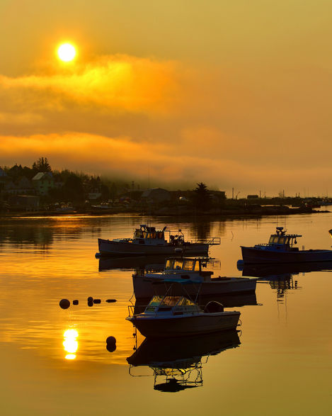 golden sunrise silhouettes lobster boats