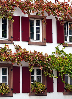 Weiße Fenster von einem Haus mit braunen Holzrahmen und dunkelroten Fensterläden