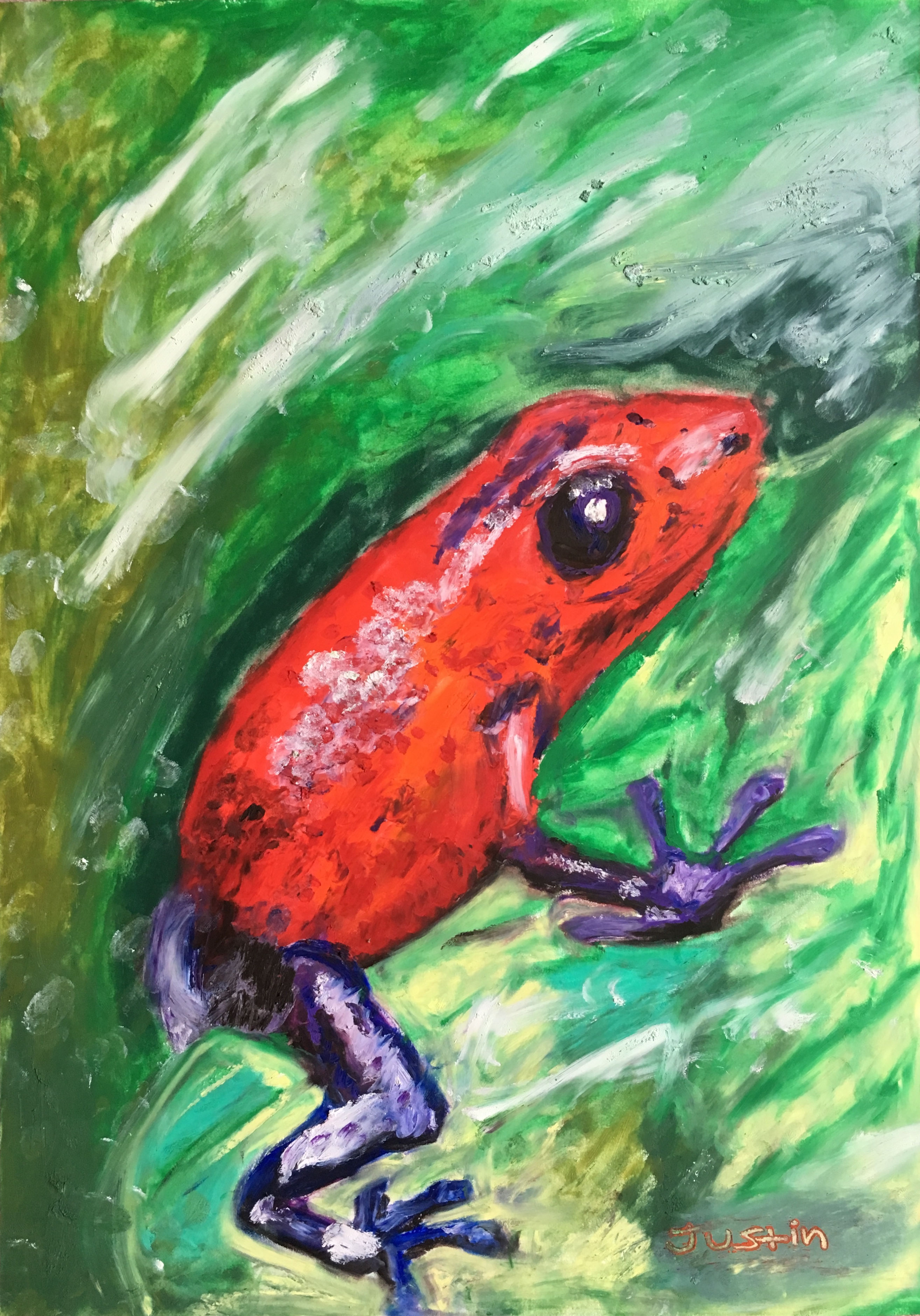 Strawberry Poison Dart Frog #1