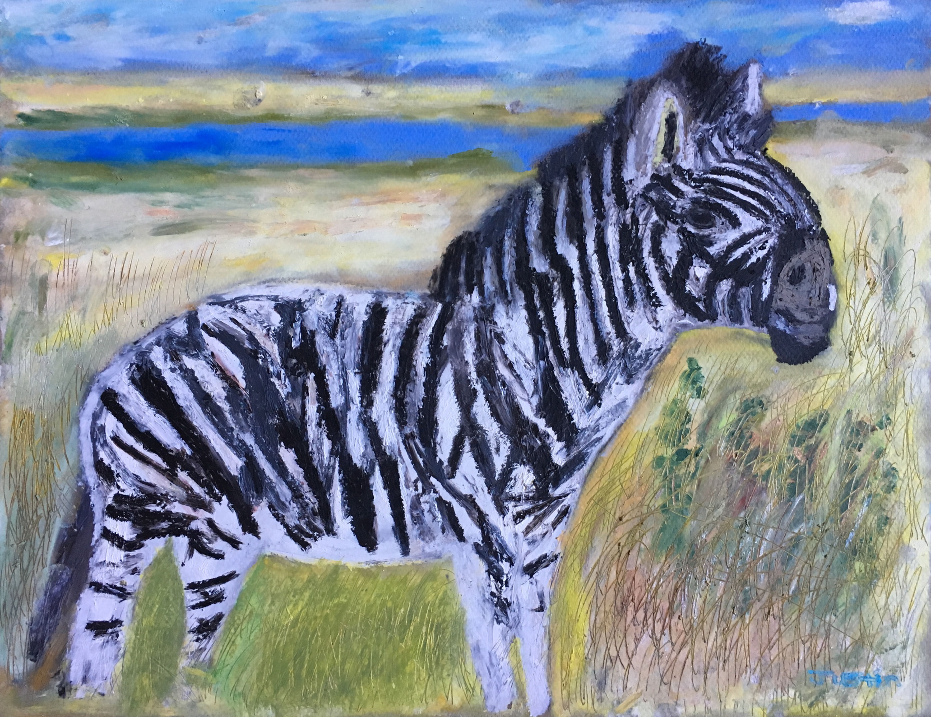 Hartmann Mountain Zebra