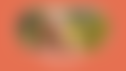 Sofie Hermans PeopleWise Perfectionisme - Closeup van vrouw die aan het genieten is