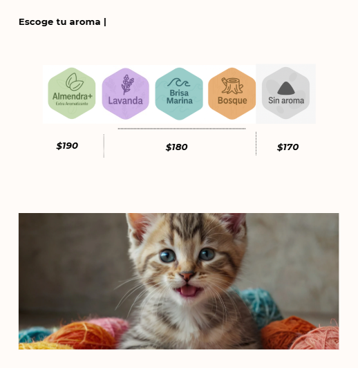 Miniatura: Arena Sanitaria Nature's Home, NH