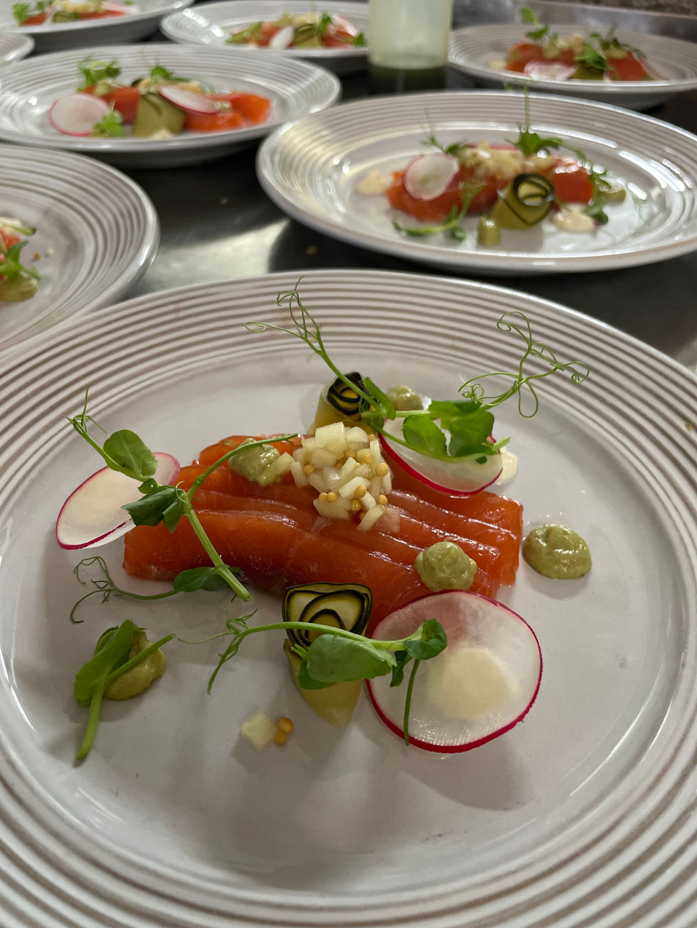 gin &ntonic salmon