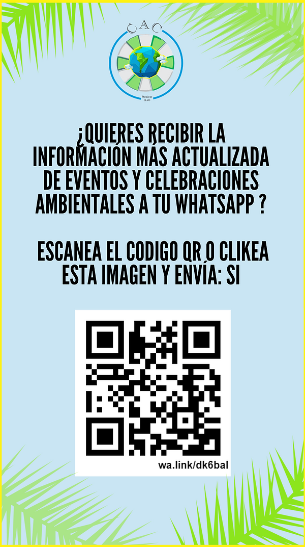 flayer wix page..png