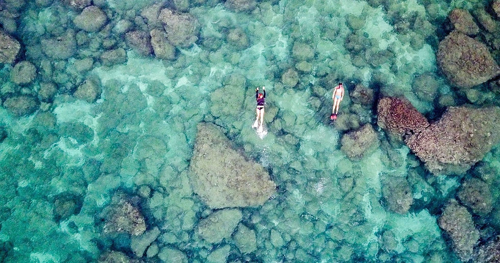 sharks-cove-snorkel-self-guided-cropped_2000_14