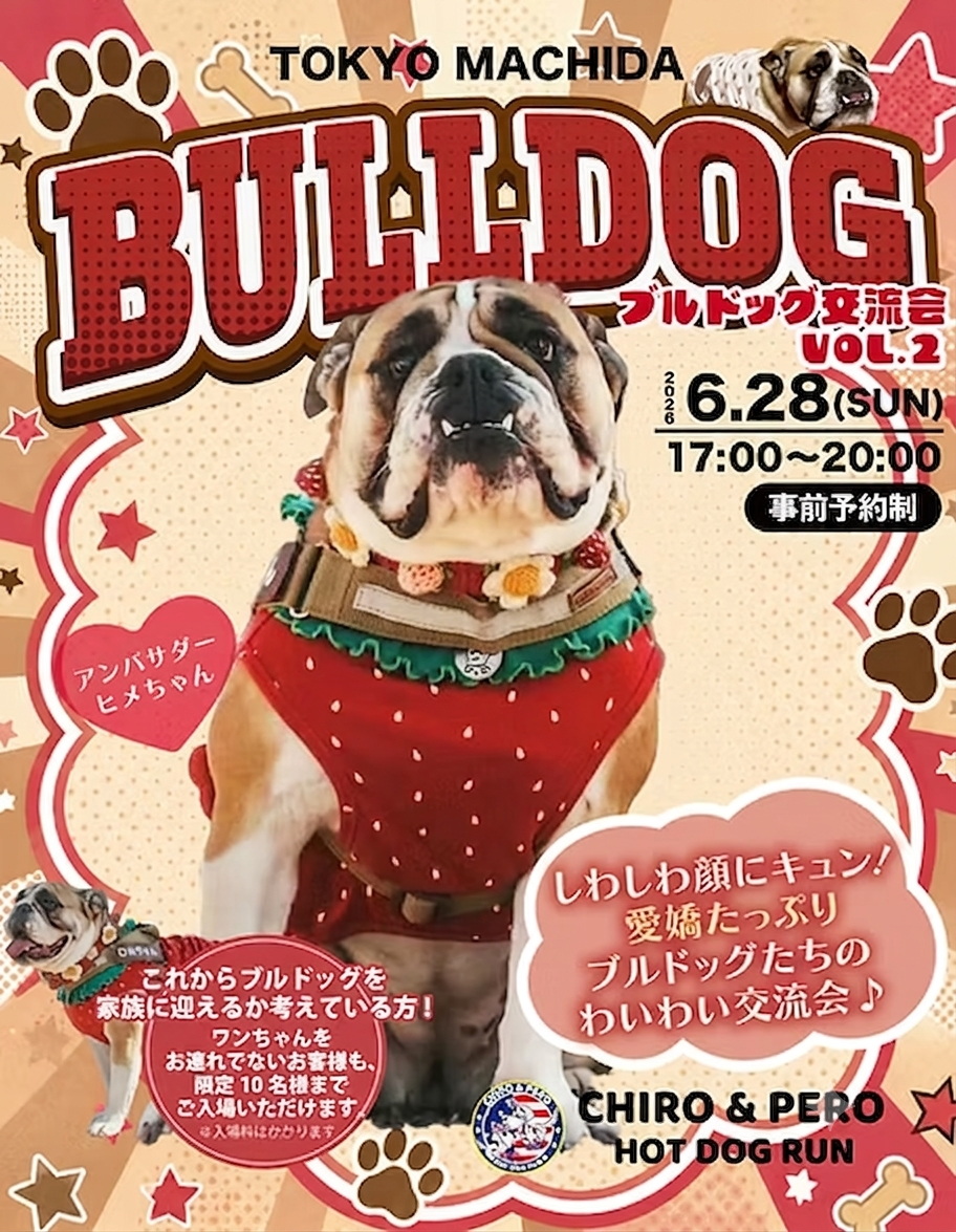 ブルドッグ交流会Vol.2