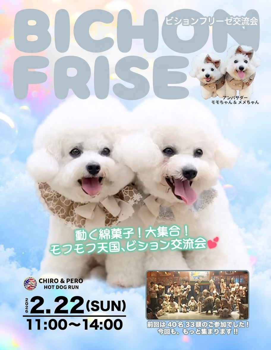 ビションフリーゼ交流会