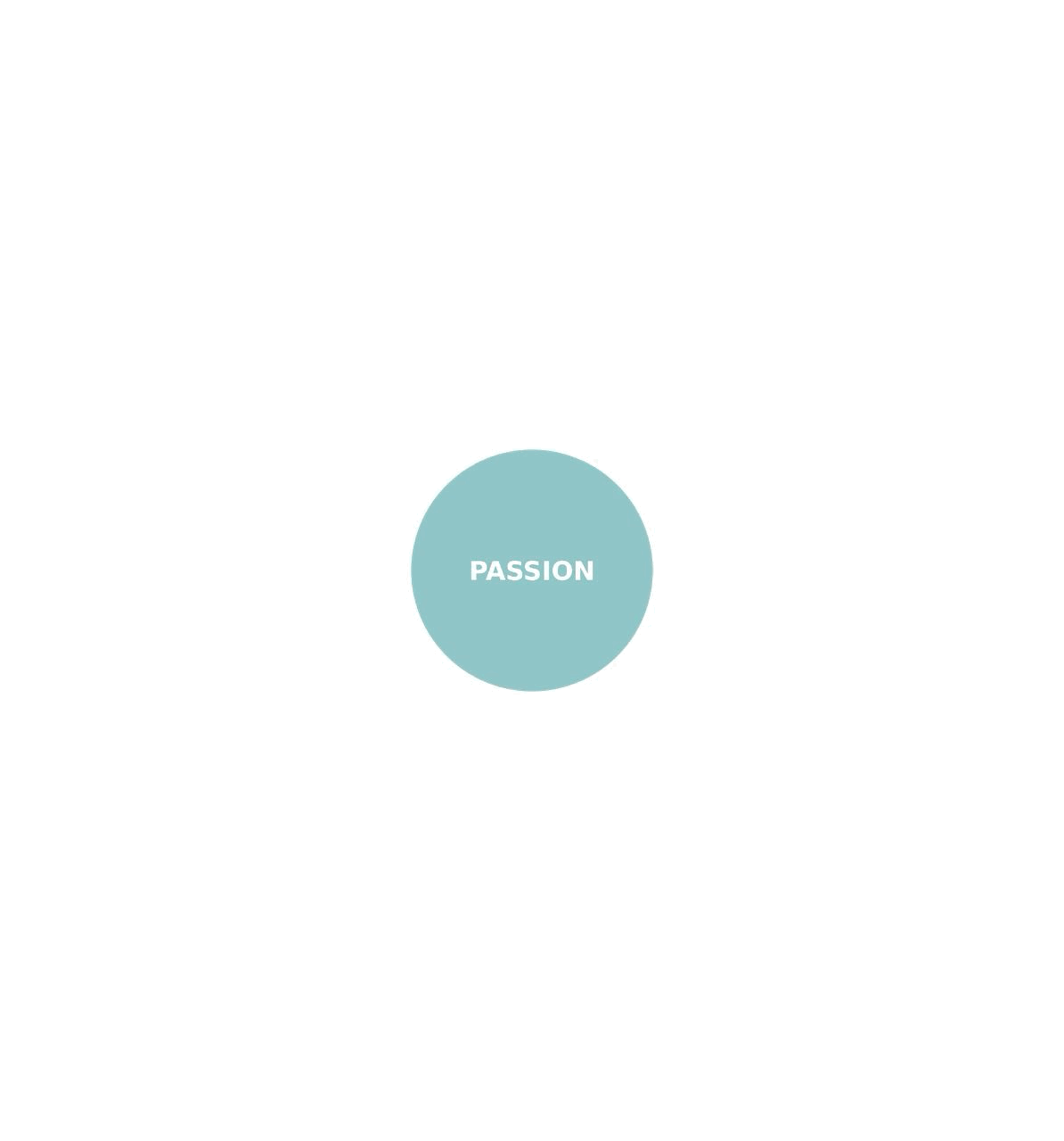 Framework Animation