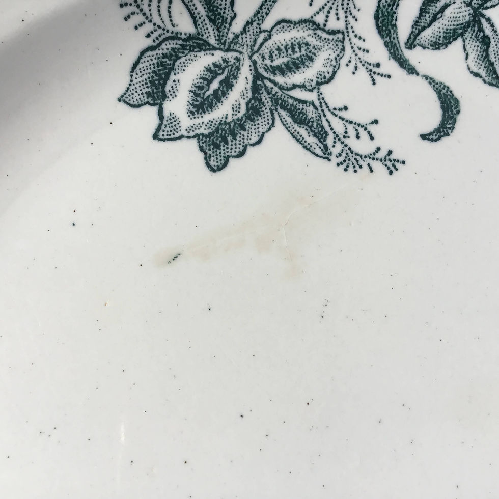 サムネイル： アイリス  平皿 プレート) フランス アンティーク サンタマン窯 サンタマン ソシエテ アマンディノワーズ テールドフェール