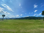 IMG_1208.jpg