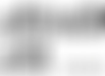 A NOVA CONFIGURAÇÃO FAMILIAR