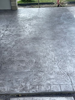 PHOTO-2026-02-25-19-51-10