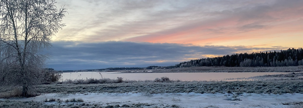 Luotettava palvelu ympäri vuoden