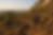 Hikers with backpacks walk down a rocky trail on a sunny day in a savanna landscape, bordered by boulders and trees.