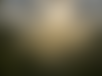 Waterfall cascading through lush green forest, surrounded by ferns and mist. Sunlight filters through trees, creating a serene scene.