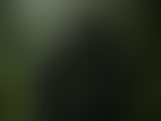 Gorilla sitting in a lush, foggy jungle. Dark fur contrasts with the green foliage. Calm and contemplative mood in a misty rainforest.