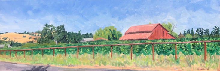 Solminer Vineyards, Los Olivos, CA. 2020