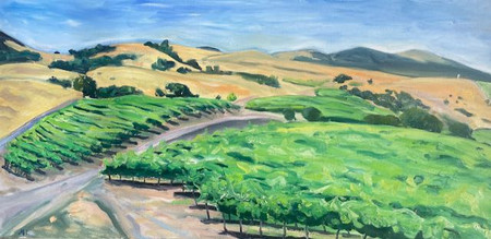 Rio Vista, Santa Rosa Road,Buellton, CA. Summer 2022