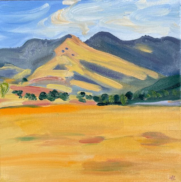 Grass Mountain, Los Olivos, Summer 2022