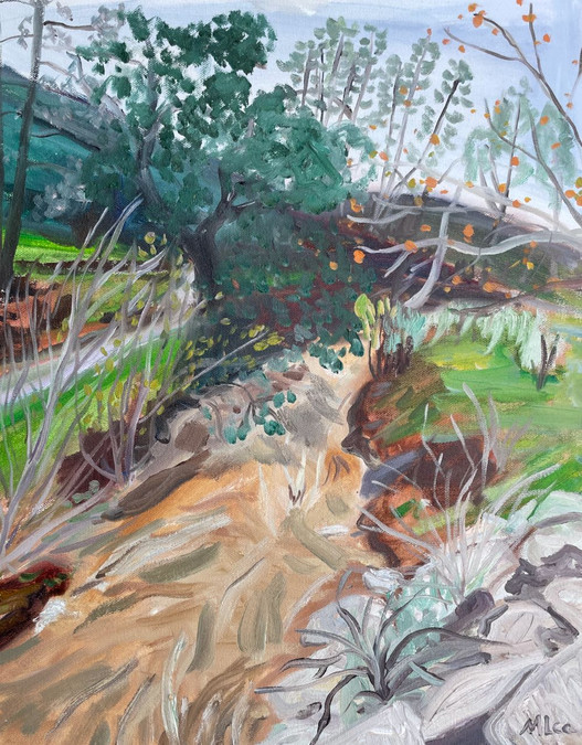 After the Rain, Base of Figueroa Mountain, Los Olivos, CA. January 2023