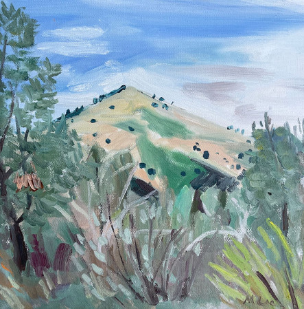 After the Rain, Grass Mountain, Los Olivos, CA. January 2023.