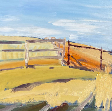 Happy Canyon Fields, Santa Ynez. August 2021