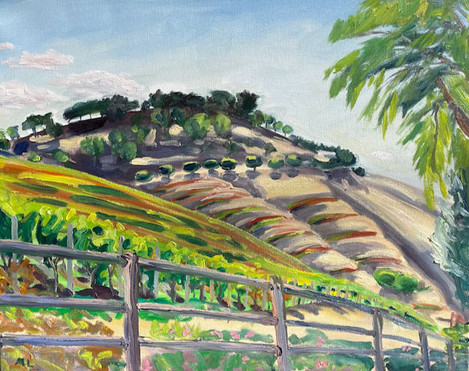 Sarloos and Sons, Los Olivos, CA. October 2021.