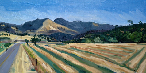 Figueroa Mountain, Los Olivos