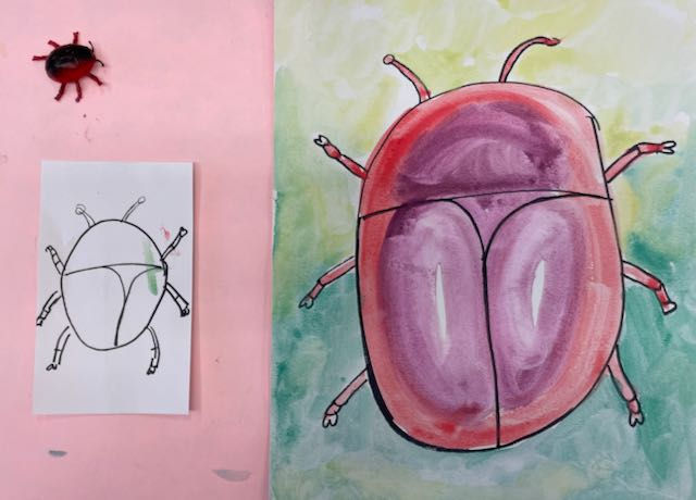 First Grade Colorful Bug Illustrations
