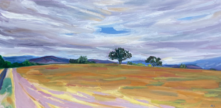 Roblar Accross 154, Los Olivos, CA, October 2022