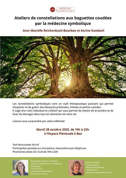Ateliers de constellations familiales symboliques.png.png
