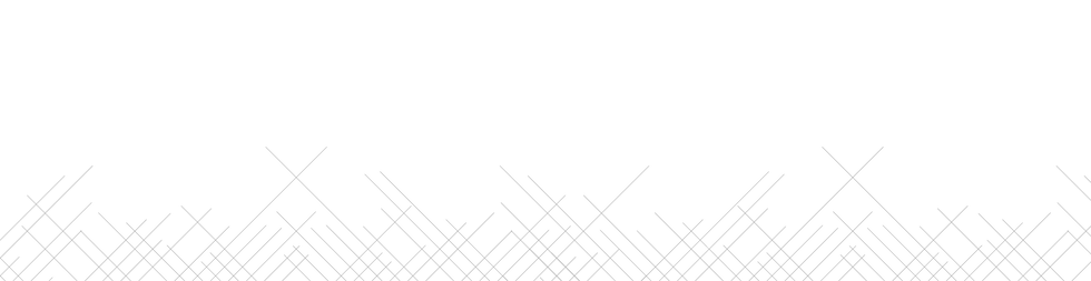 Civil Assist Website Crosshatches - bottom grey.png